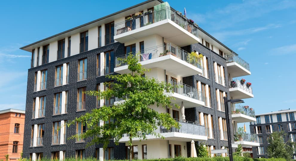 Cozy 1BHK Apartment